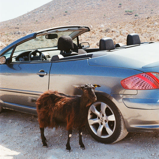 EXEK - Prove The Mountains Move LP