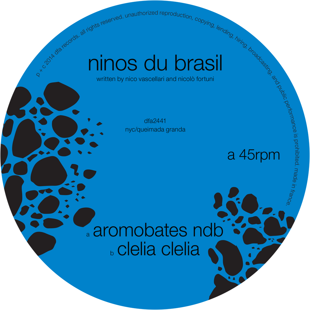 Ninos Du Brasil - Aromobates NDB 12"