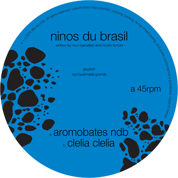Ninos Du Brasil - Aromobates NDB 12"